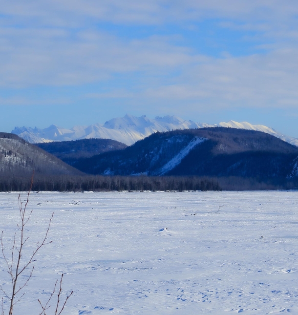 A Beautiful View In Alaska OC X