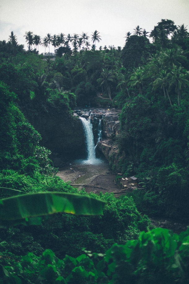 A beautiful waterfall I stumbled across in Bali Indonesia 