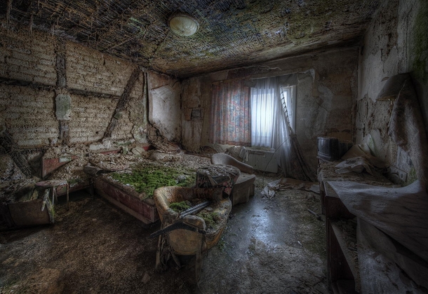 A bed of moss in a room of an hotel ravaged by fire  Photo by Niki Feijen