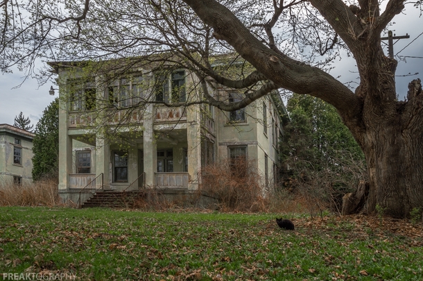 A Black Cat stopped in front of my shot of this old abandoned building in New York State OC   
