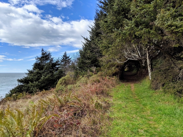 A burrowing trail at the False Klamath 