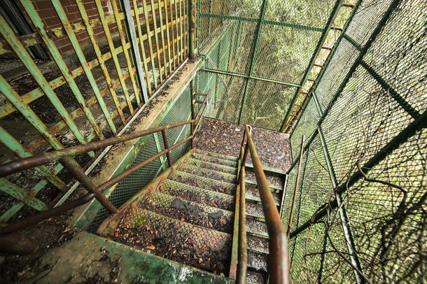 A caged in stairwell at an abandoned insane asylum 