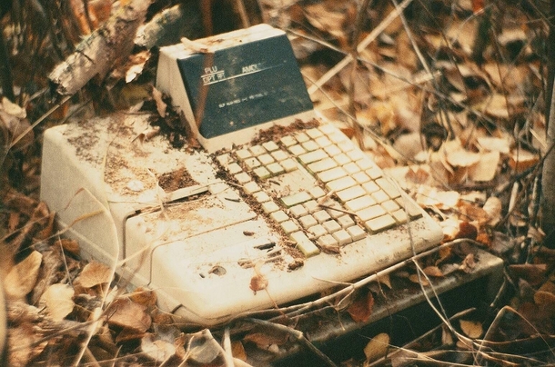 A cash register I found in the woods in 