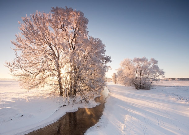 A chilly morning in Ostergotland Sweden  Photographed by Andreas Lf