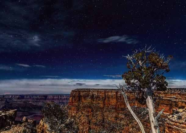 A clear star filled night sky Grand Canyon 