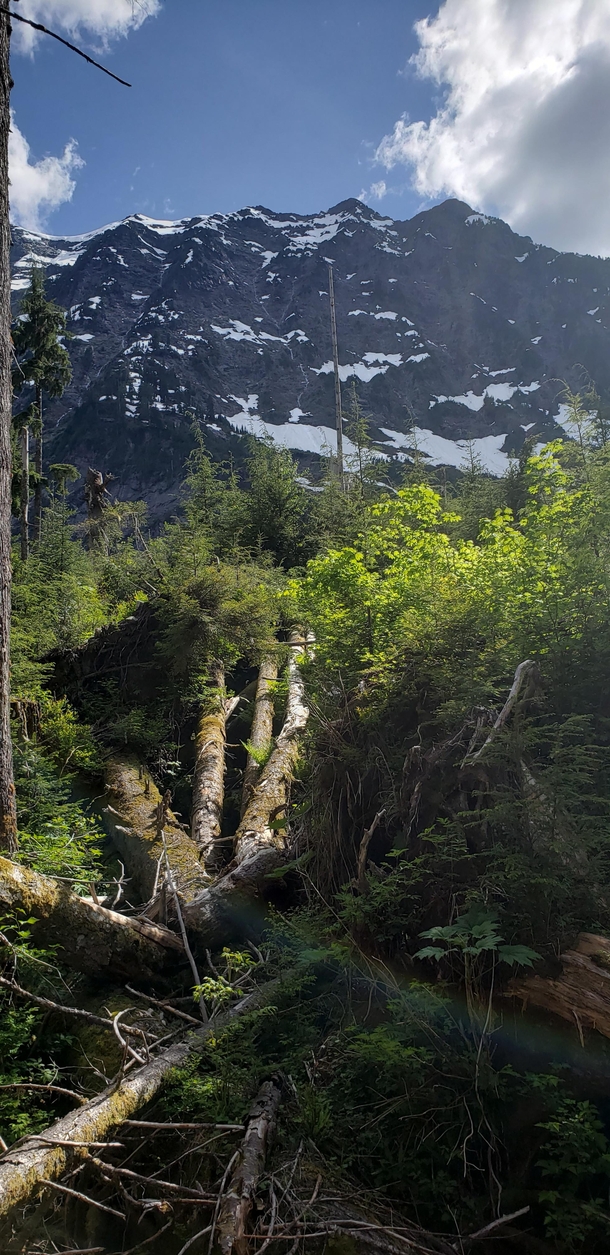 A closeup of Big four mountain Washington State