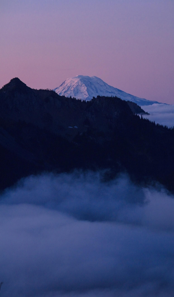 A cloud inversion at sunrise Mt Adams from Mt Rainier Natl Park 