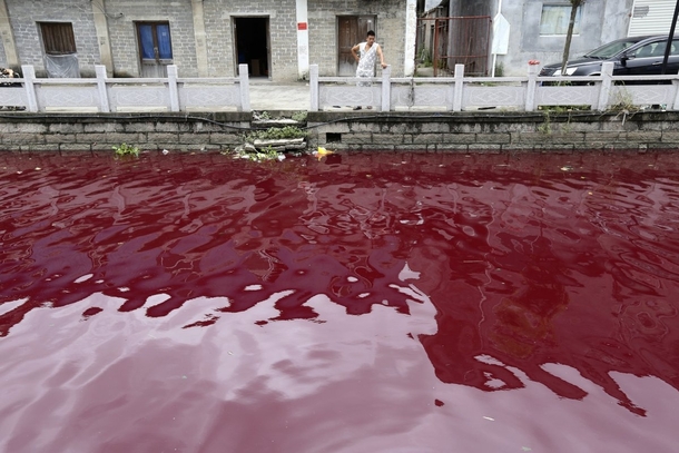 A contaminated river in Wenzhou Zhejiang province China Officials investigating the incident said they found no sign of discharge from factories that line the river including a paper manufacturer food colouring company and clothing manufacturer 