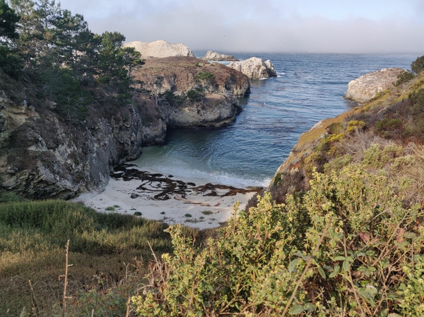 A Cove in California 