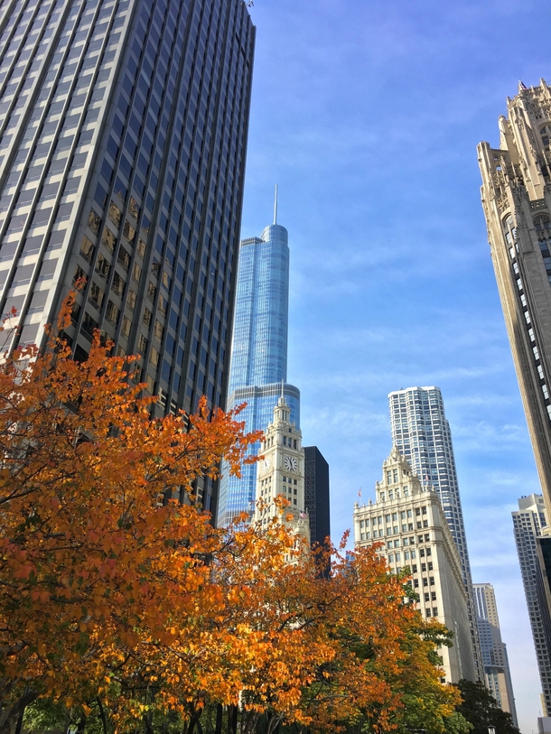 A crisp clear and vertical fall morning in Chicago 