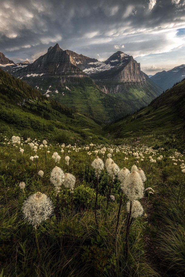 A day to remember A beautiful afternoon in Glacier National Park Montana OC  for more photos IG  john_perhach_photos