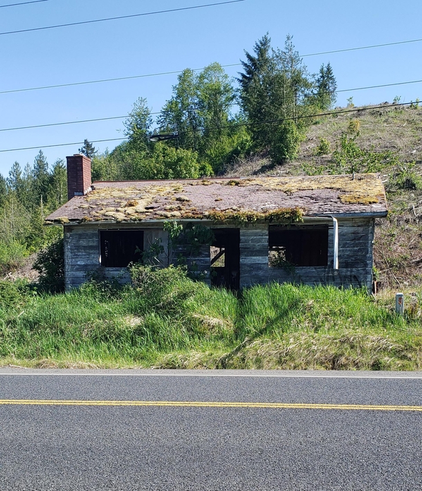 A decaying Homestead 