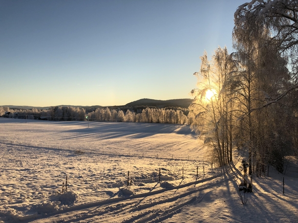 A December view from my parents house in Medelpad Sweden 