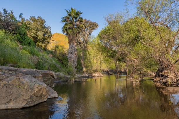 A desert stream in Southern California 