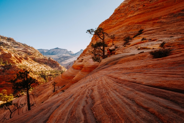 A different take on Zion National Park UT  ben_marolf