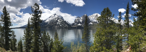 A different view of the Grand Tetons taken from the shore of Jenny Lake 