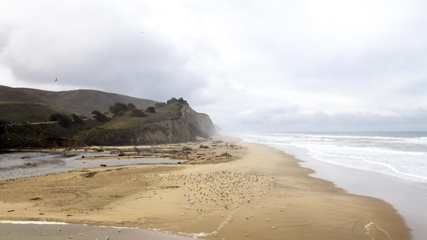 A dramatic morning at San Gregorio State Beach CA  x