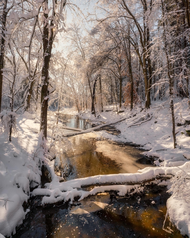 A dreamy winter morning at Richfield Heritage Preserve OH 