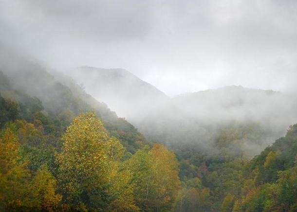 A drizzly day in the Smoky Mountains 