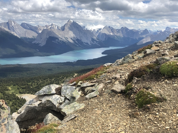 A few hours north of Lake Louise and Moraine Maligne Lakes rugged landscape makes it a close contender 
