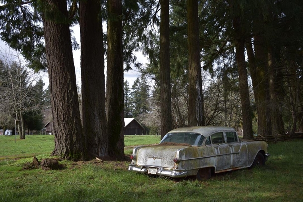 A few years ago I stumbled across this classic Pontiac rusting away in the forests of Oregon 