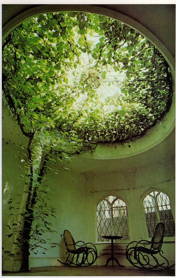 A Ficus tree makes a breathtaking display of aerial greenery filling the glass dome of what was once a chapel Tradition has it that the dome was built round the tree 