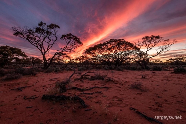 A fiery sunset in South Australia  IG sergeyvidusov