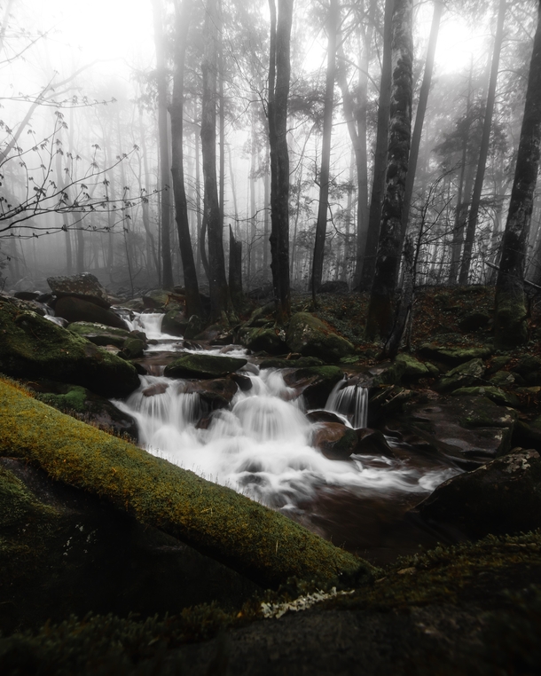 A foggy river in Great Smoky Mountains National Park 