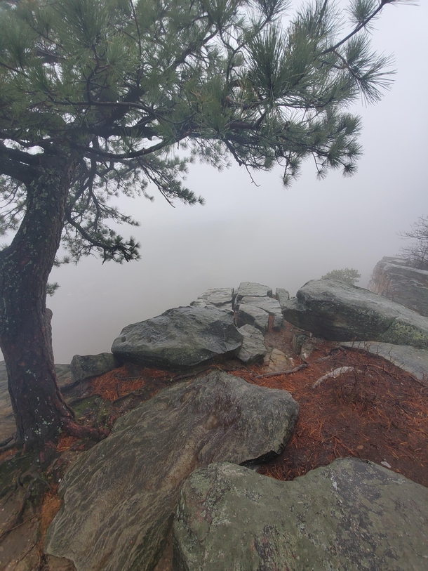 A Foggy View on Pilot Mountain in Pinnacle North Carolina 