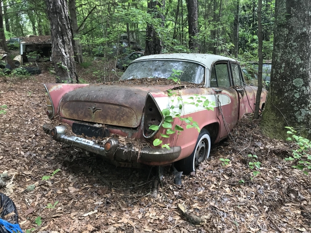 A French Simca Vedette rotting away in an American junkyard