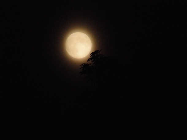 A full moon from last week in Maine