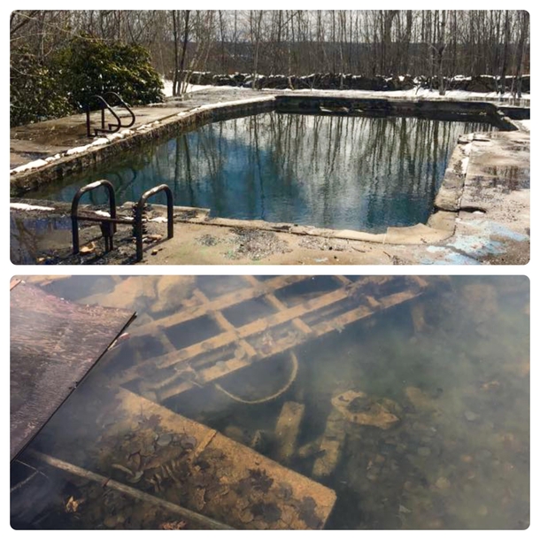 A glimpse inside the abandoned pool I posted yesterday