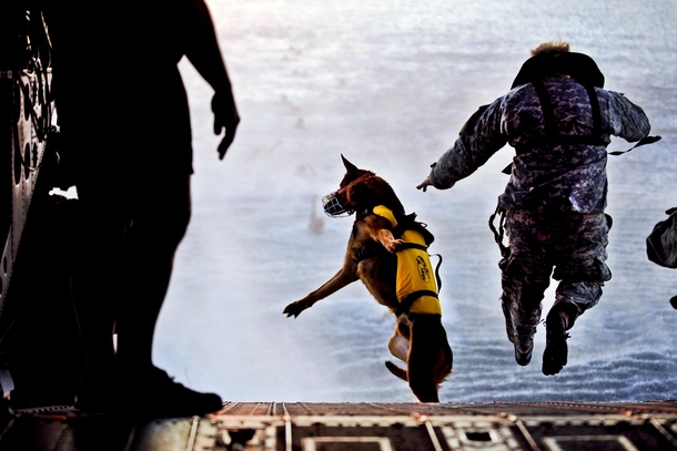 A Green Beret and his working dog jump off a CH- Chinook into the waters of the Gulf of Mexico  