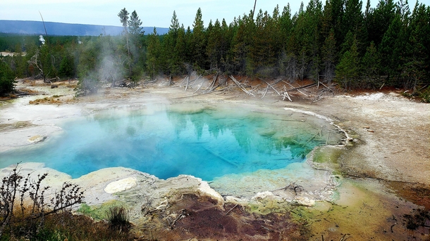 A hot spring in the Norris Geyser Basin of the Yellowstone National Park 