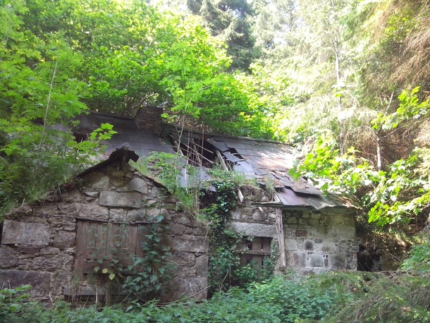 A House Engulfed by Ravensdale Forest Ireland 