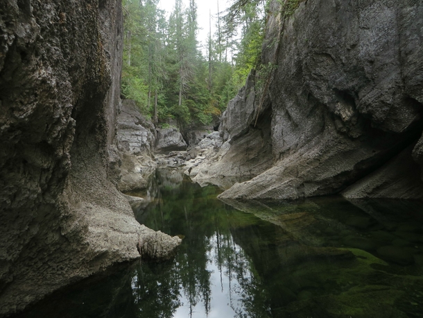 A karst canyon on the Benson River near Port Alice BC Just upstream the majority of the water disappears in to an underground cave system reappearing through the rock down river A very cool place 