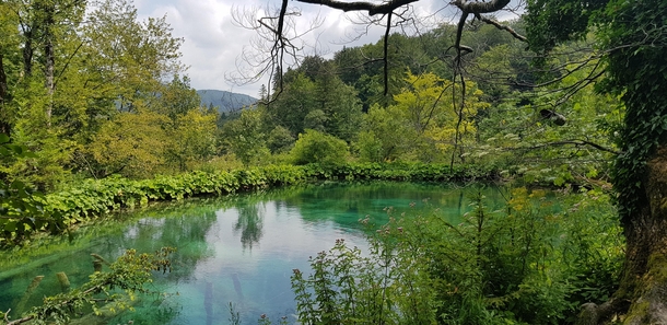 A lot of green colors at this small lake at Plitvice Lakes Croatia 