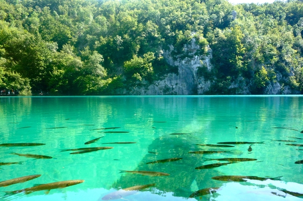 A luminescent lake Plitvice National Park Croatia 