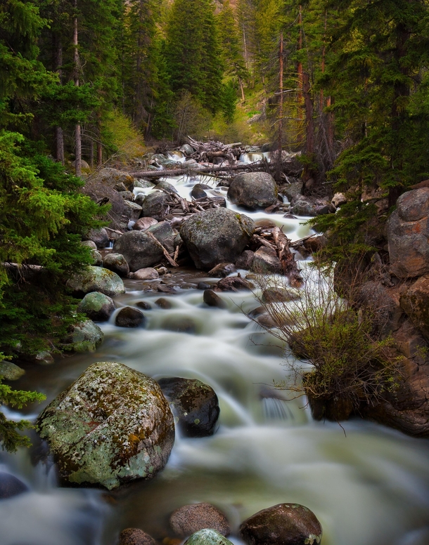 A lush river somewhere in Yellowstone National Park 