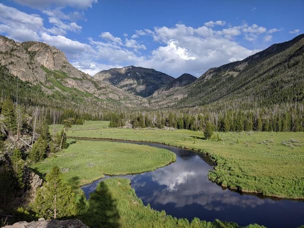 A meadow in Rocky Mountain National Park 
