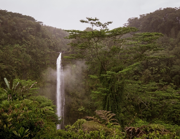 A Misty Afternoon - Akaka Falls Near Hilo Hawaii 