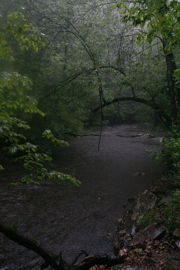 A moody creek during a spring storm Cedar Creek Arkansas 