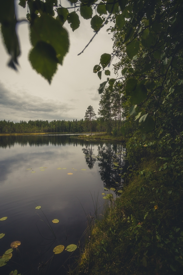 A moody day in the backwoods of Central Finland 