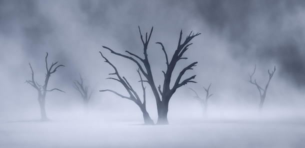 A morning dust storm on Deadvlei in Namibia OC 