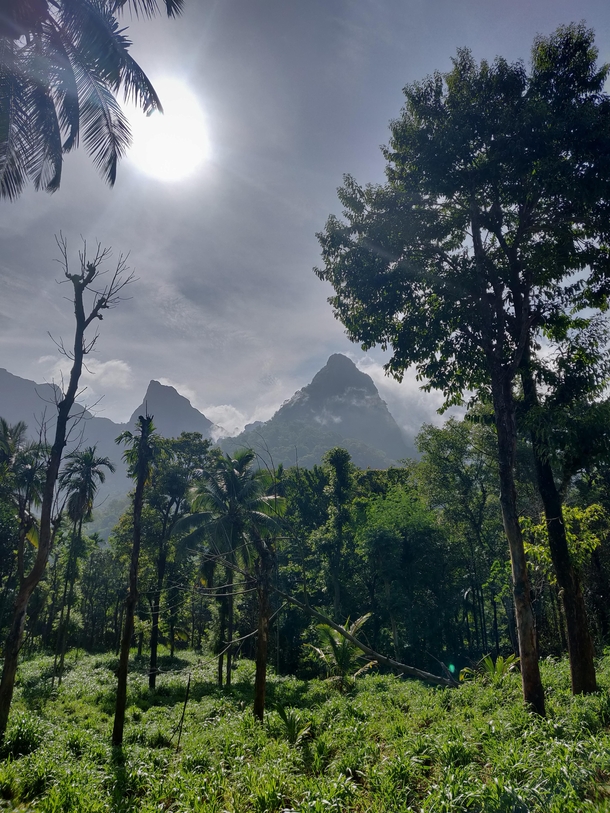 A morning mountain view in kerala  INDIA 