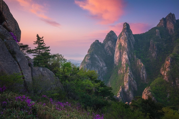 A mountain that reminds of something from A Land Before Time Wolchulsan South Korea 