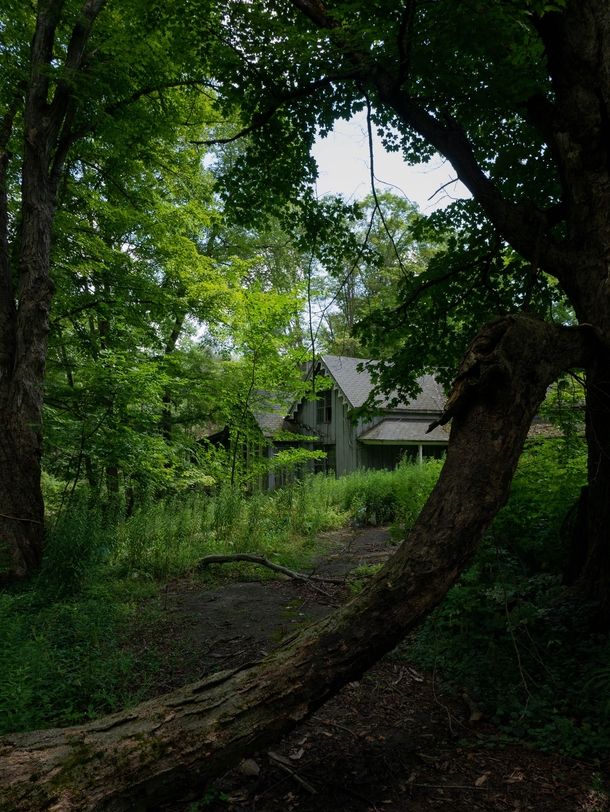 A Mysterious House Lost in Time in the Woods 