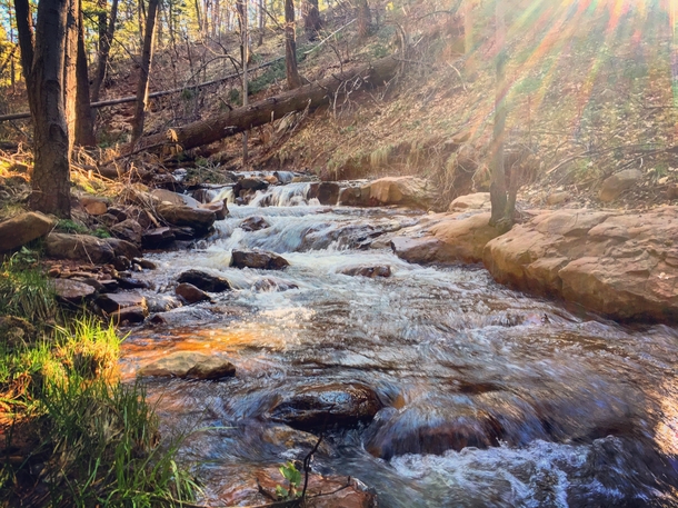 A nice creek in Washington Park near Payson AZ 