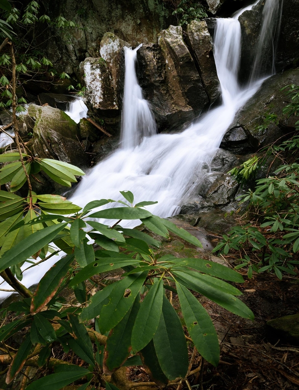 A North Georgia Waterfall along the Appalachian Trail  IG cwaynephotography
