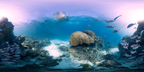 A  panorama of the coral reef near Heron Island Queensland Australia along the Great Barrier Reef 